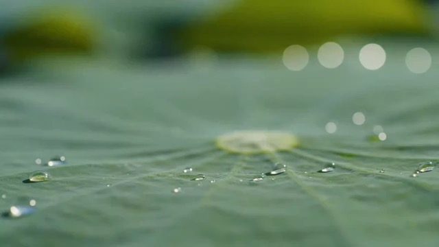 Video preview